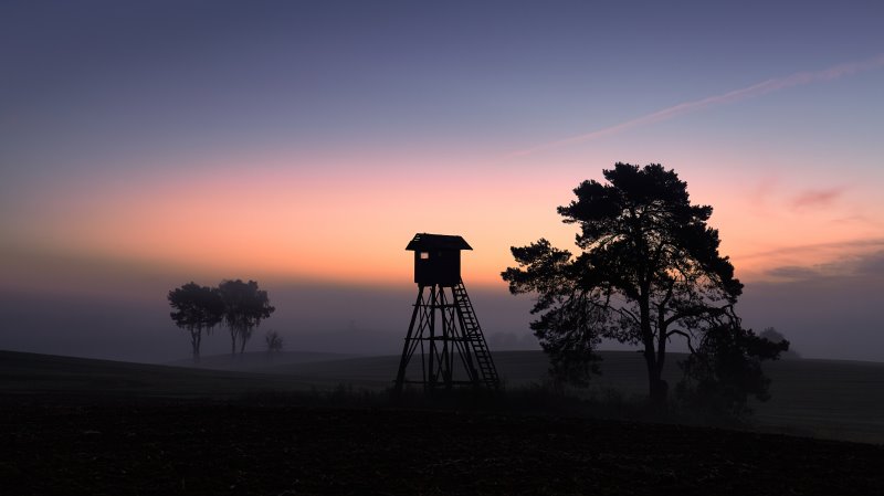 Ein Jägerhochsitz in der Dämmerung Ein Jägerhochsitz in der Dämmerung