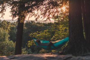 Haengematte im Wald zwischen Baeumen