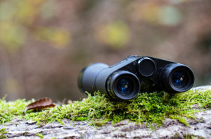 Ein Taschenfernglas auf Moos in Wald