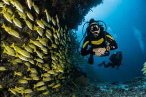 Taucher unter Wasser neben Fischschwarm